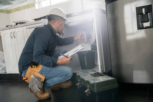 Best Local Plumber Services  in Pollock Pines, CA