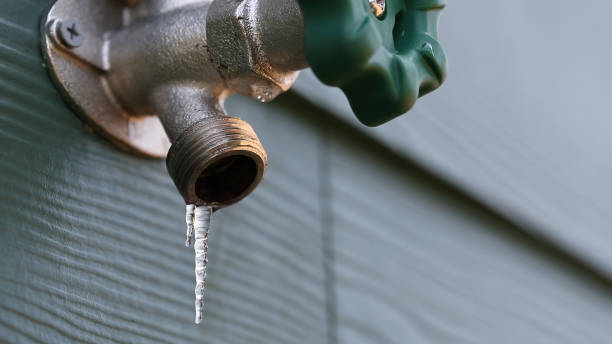 Best Affordable Plumber Near Me  in Pollock Pines, CA