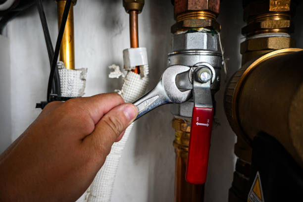 Best Clogged Drain Plumber  in Pollock Pines, CA